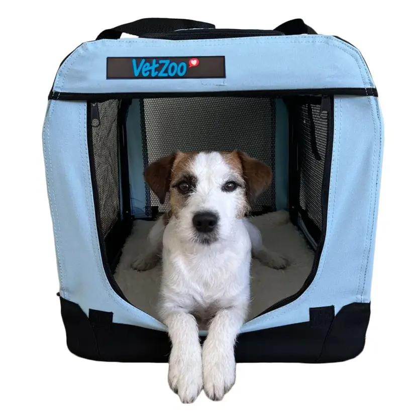 PetEasy x VetZoo Transportbur Ljusblå (S)